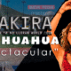 ShakiraHuenses 65 SHAKIRA EN CHIHUAHUA